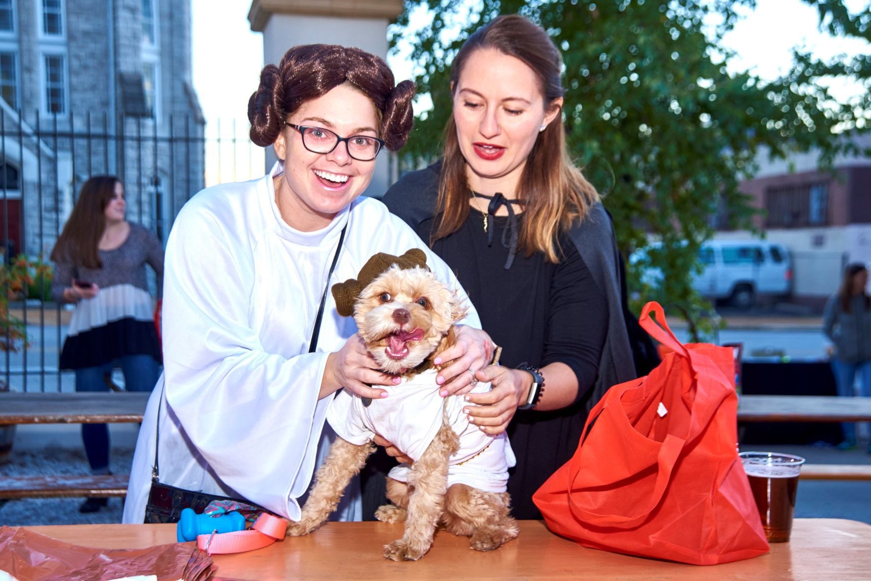 Barktoberfest at Urban Chestnut.jpg